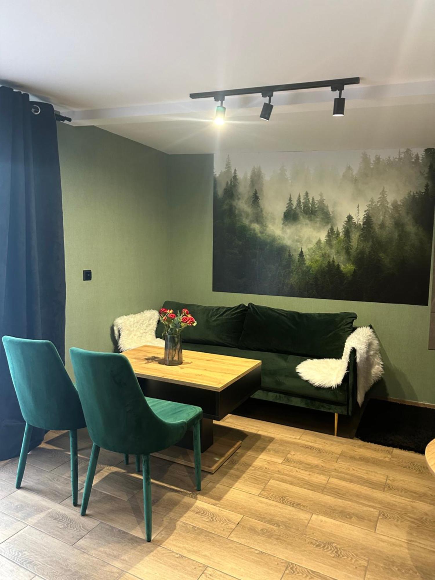 Apartment Zielona Gora
